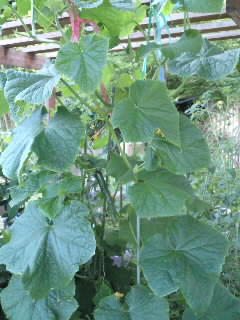 100616_1840~01.jpg