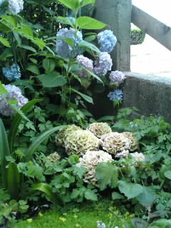 100616_1841~01.jpg
