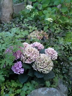 100616_1842~01.jpg