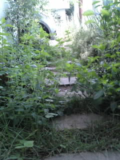 100616_1842~02.jpg